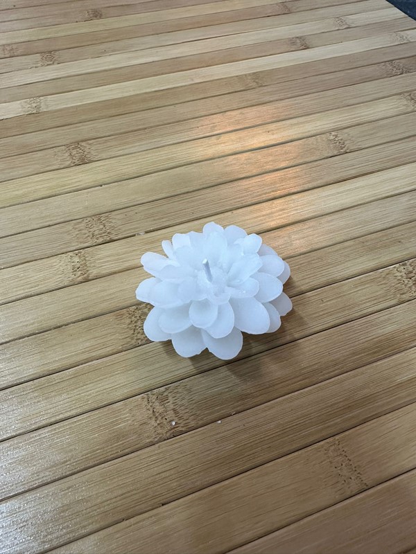 Lotus Mum